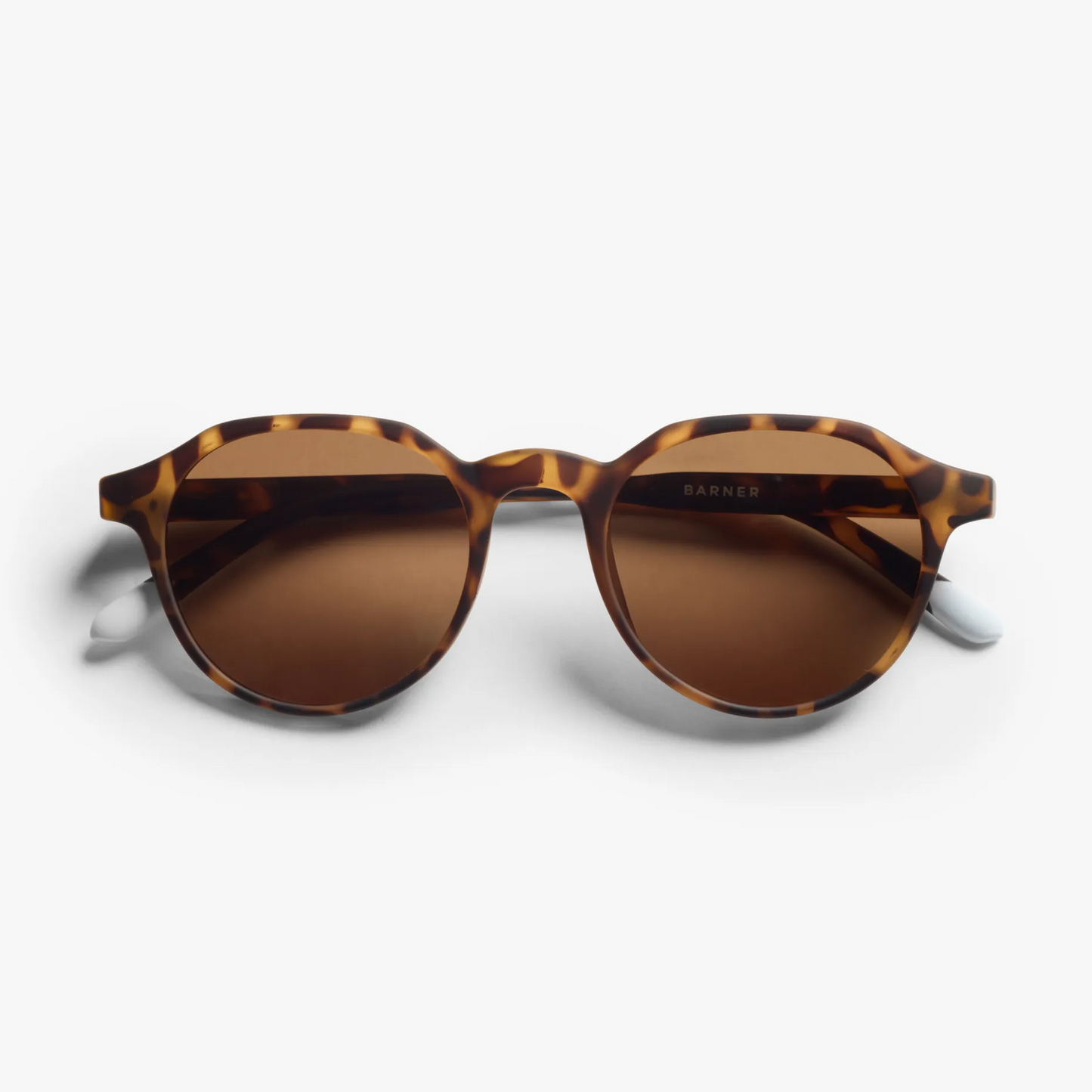 Chamberi Tortoise Sun