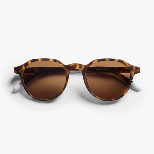 Chamberi Tortoise Sun