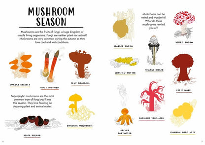 Hello Autumn : A Sticker Activity Nature Guide