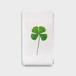 Lucky Clover Cube