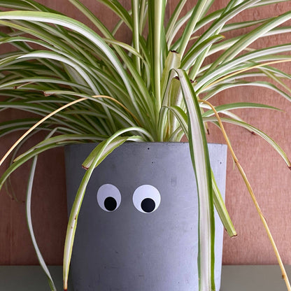 Googly Eye Waterproof Stickers - 5 Sheets Per Pack.