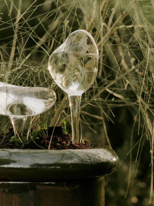 Mercury Water  Globes Set of 2 - Clear