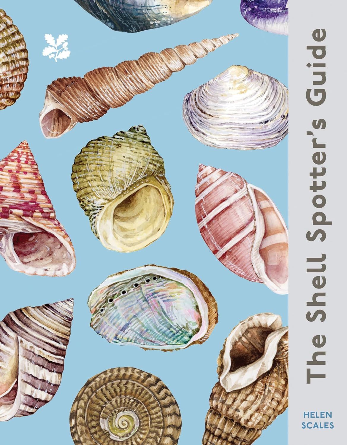 Shell Spotters Guide