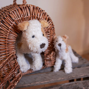 Eliot the Dog - Medium