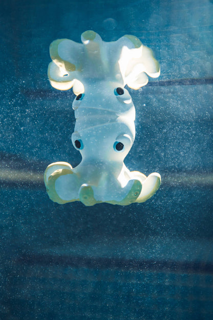 Orlando the Octopus - Natural Baby Bath Toy Oli&Carol
