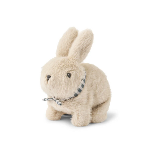 Dev Motoric Rabbit Teddy
