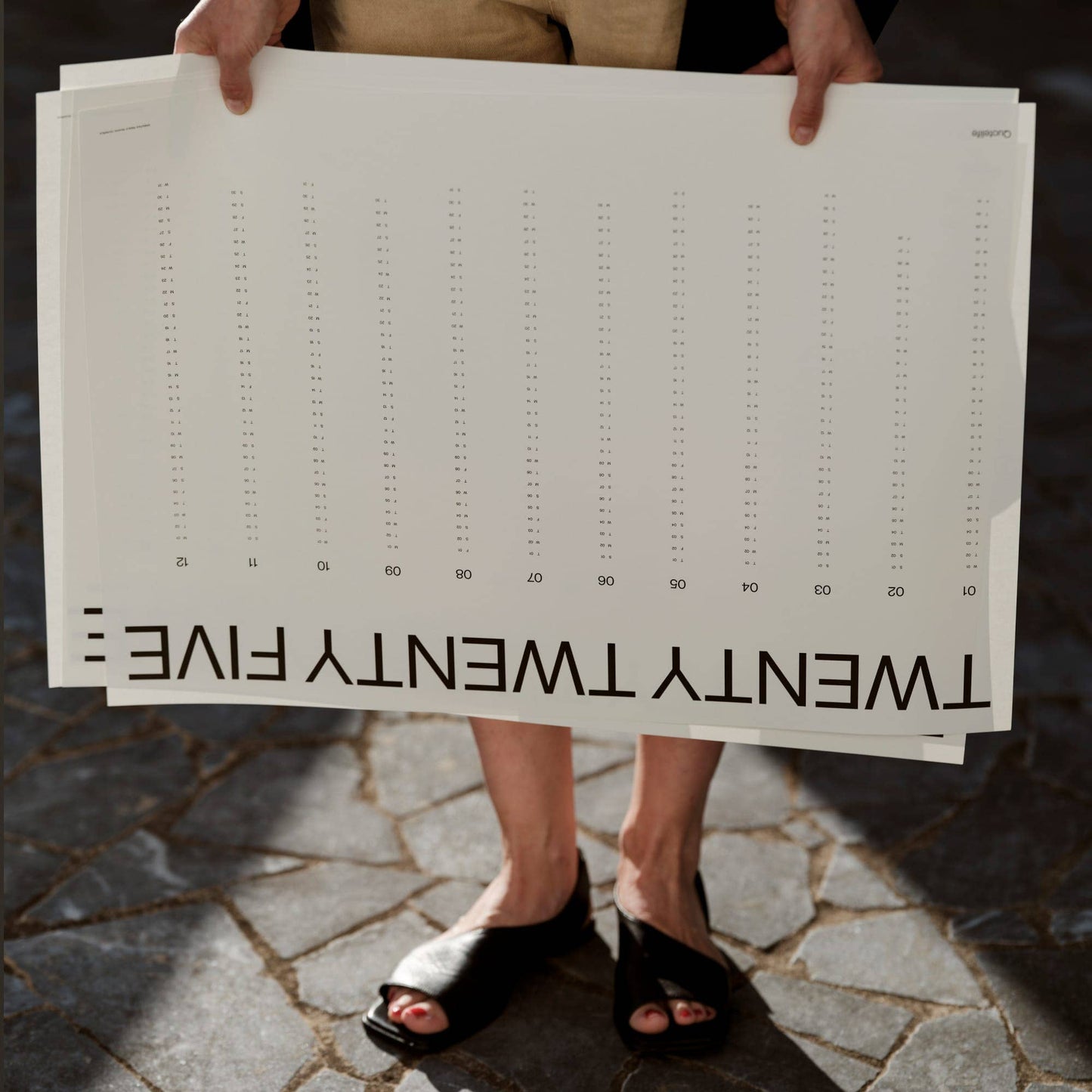 Minimalist 2026 Wall Planner - With tube