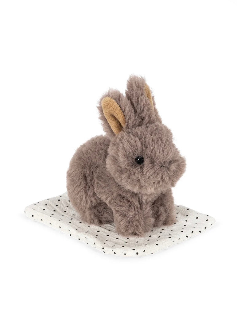 Take Care Of Me Pet: Bunny