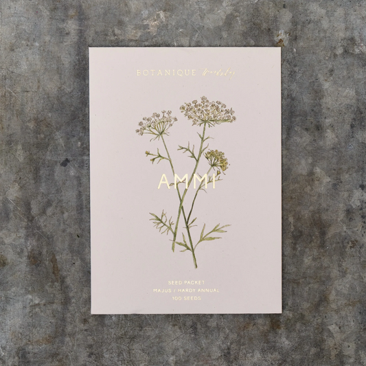 Ammi Seed Packet