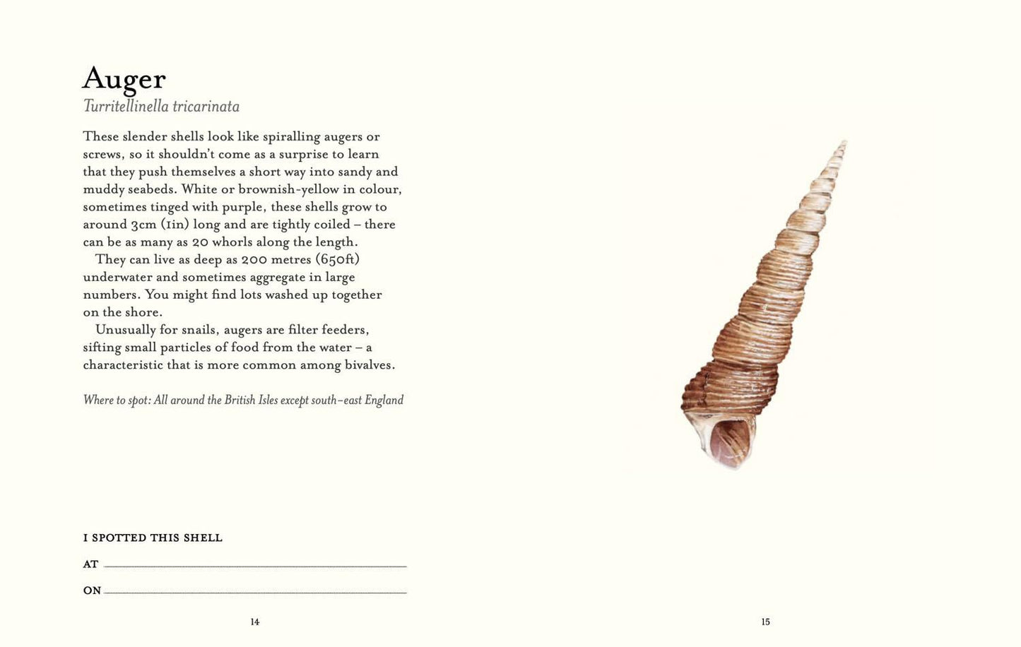 Shell Spotters Guide