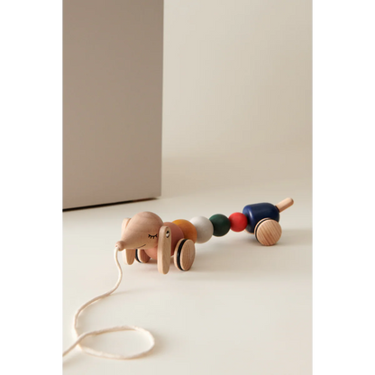 Barthes Pull Along Toy