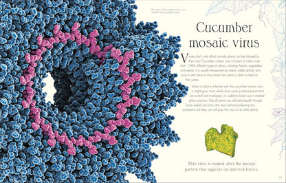 An Anthology Of Microlife