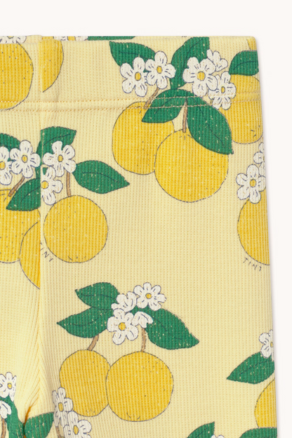 Oranges Rib Leggings