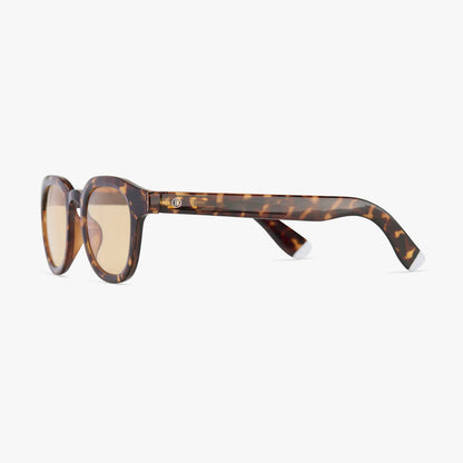 Andy - Colour Sun Tortoise