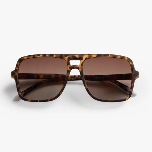 Jake Matte Tortoise Sun Amber