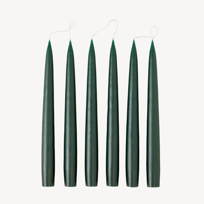 Taper 25 - Forest Green