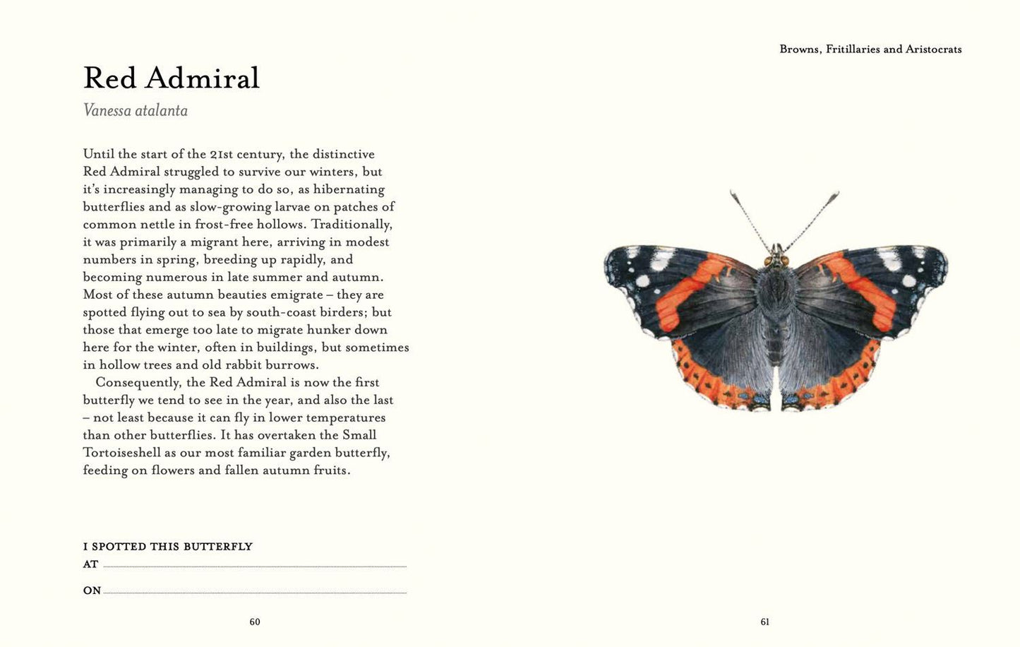 The Butterfly Spotter’s Guide