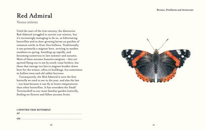 The Butterfly Spotter’s Guide