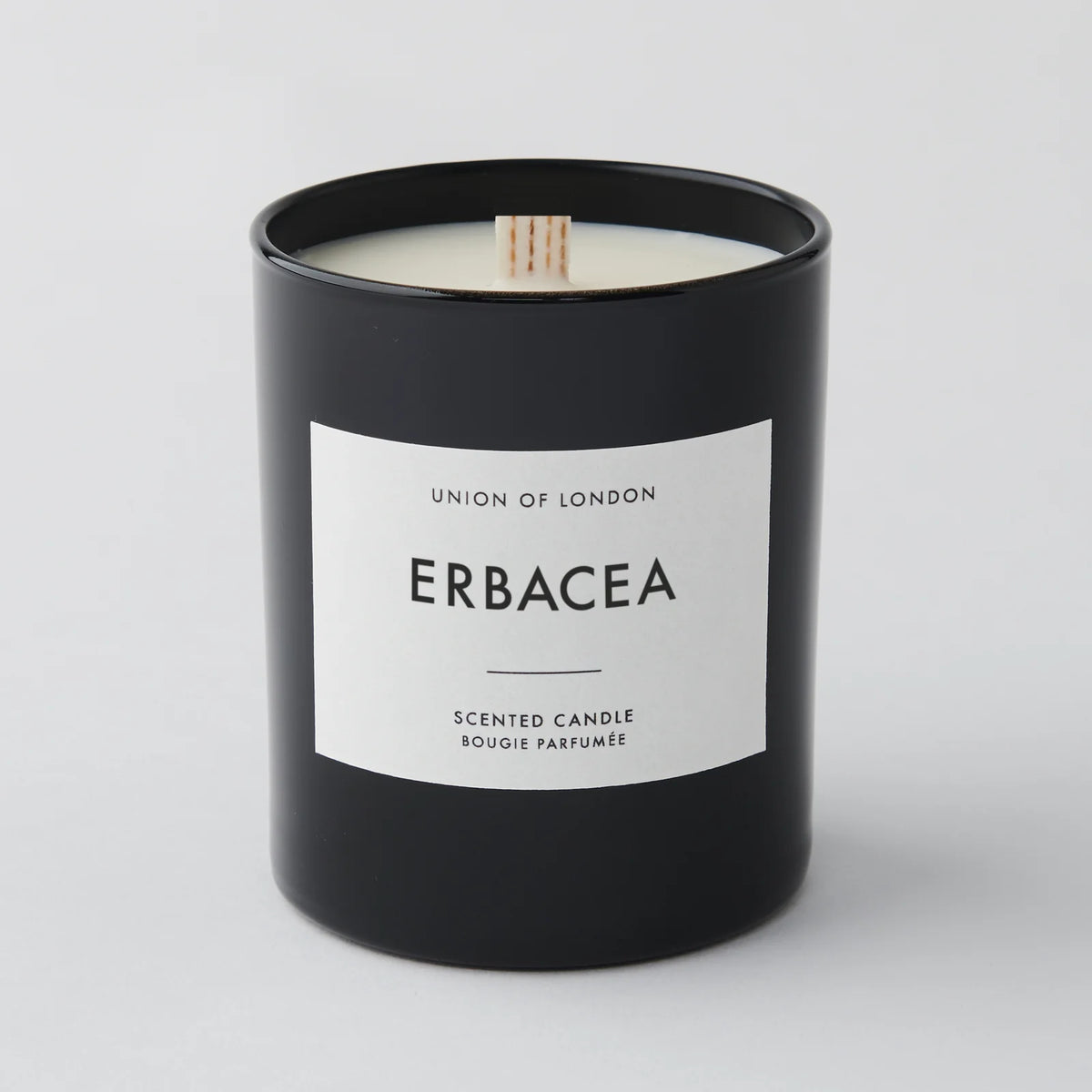 Erbacea