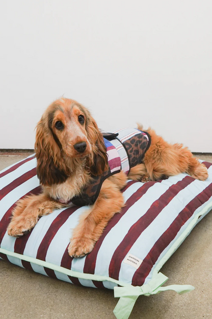Patchwork Dog Coat - Small