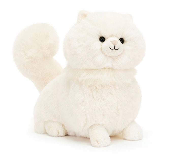 Carissa Persian Cat