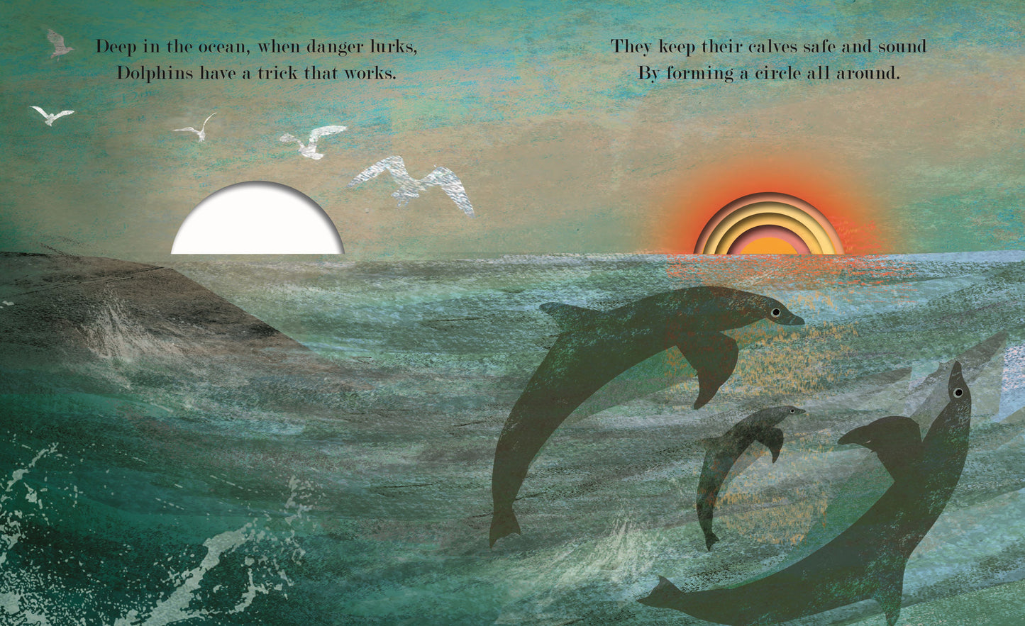 Family Board Book