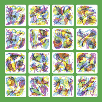 Illuminature: A Spotting Game