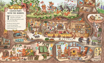 Brown Bear Wood : Here We Go/ Woodland Year