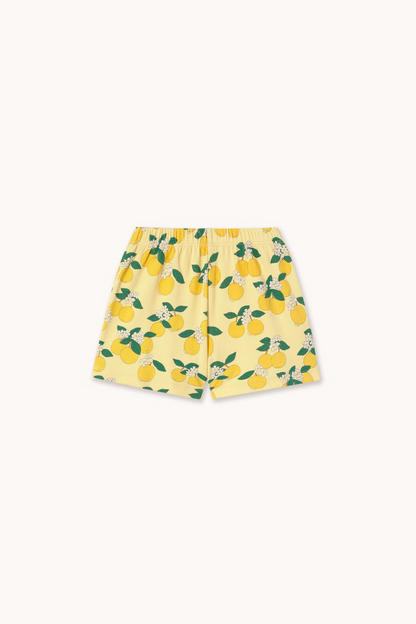 Oranges Rib Short - Mellow Yellow