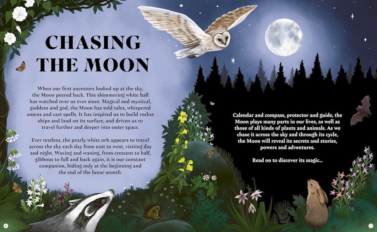 Chasing The Moon
