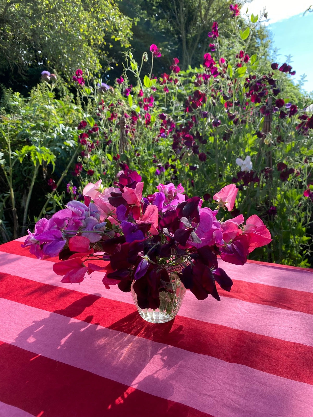 Pink and Red Stripe Tablecloth