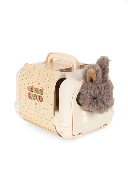 Take Care Of Me Pet: Bunny