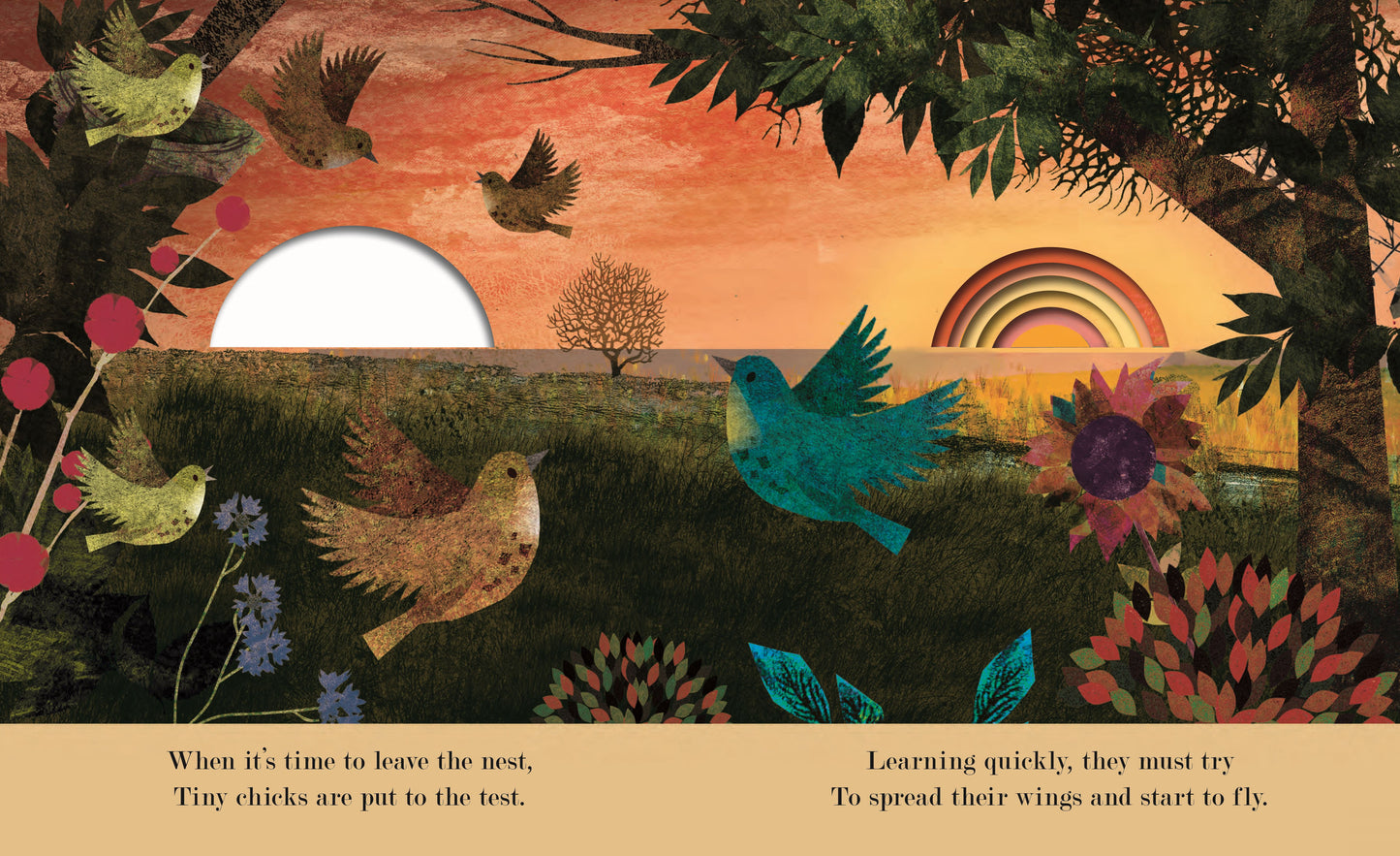 Family Board Book