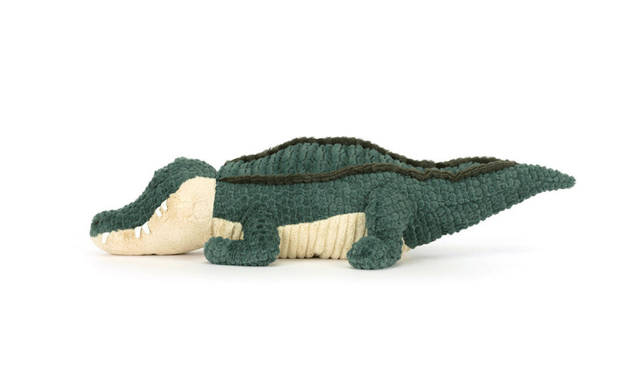 Allexi Alligator
