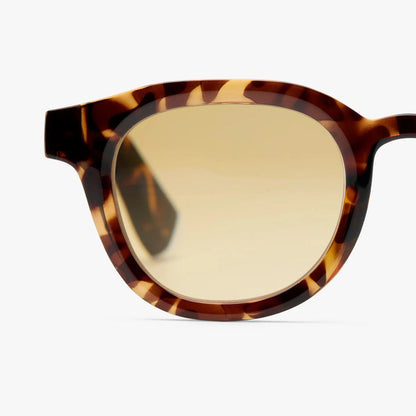 Andy - Colour Sun Tortoise