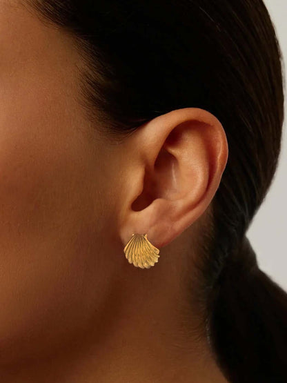 Seashell Studs