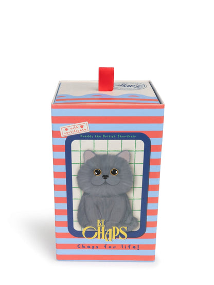 Freddy The British Shorthair