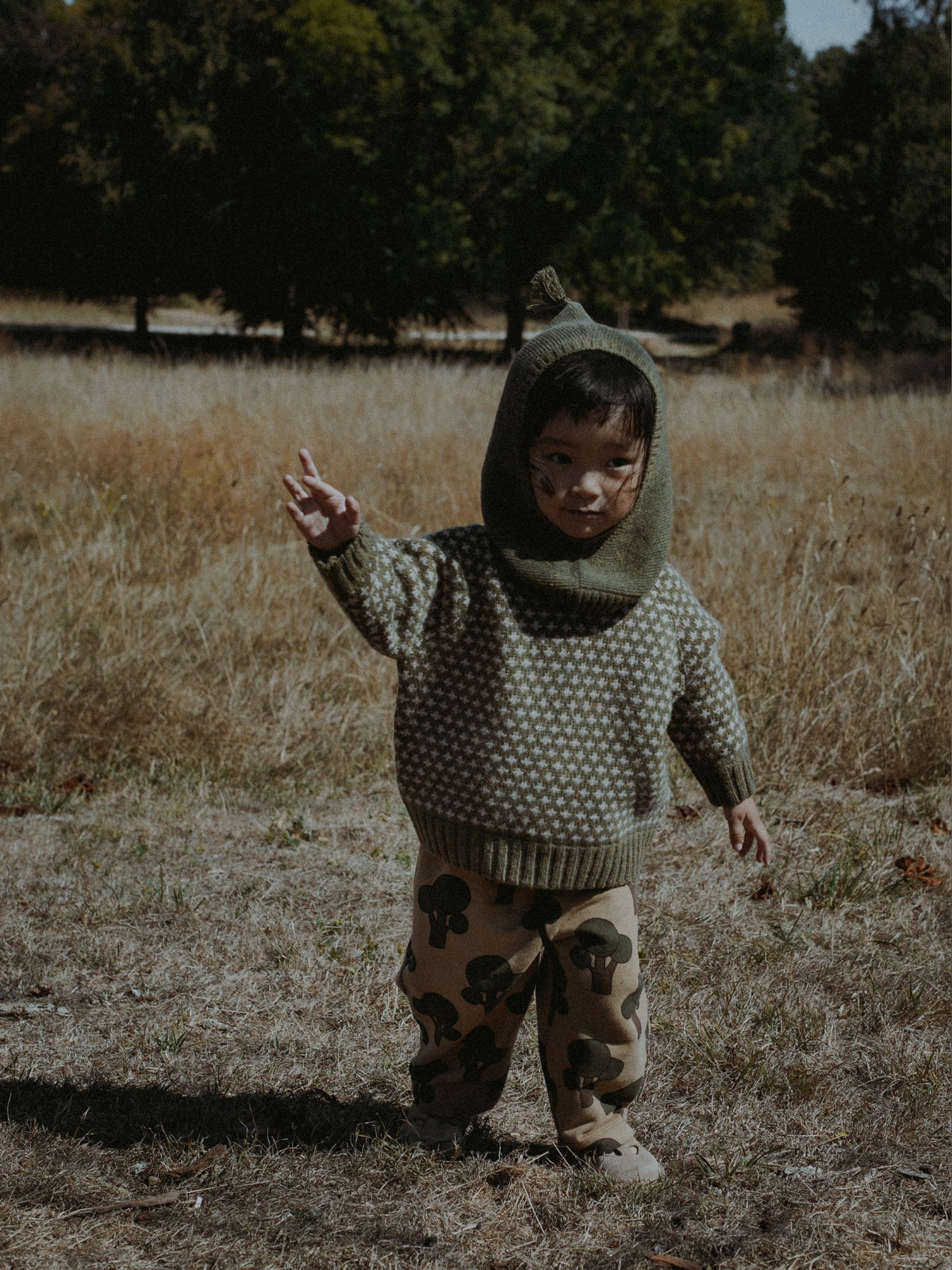 Tree Traveller Pants