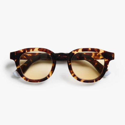 Andy - Colour Sun Tortoise
