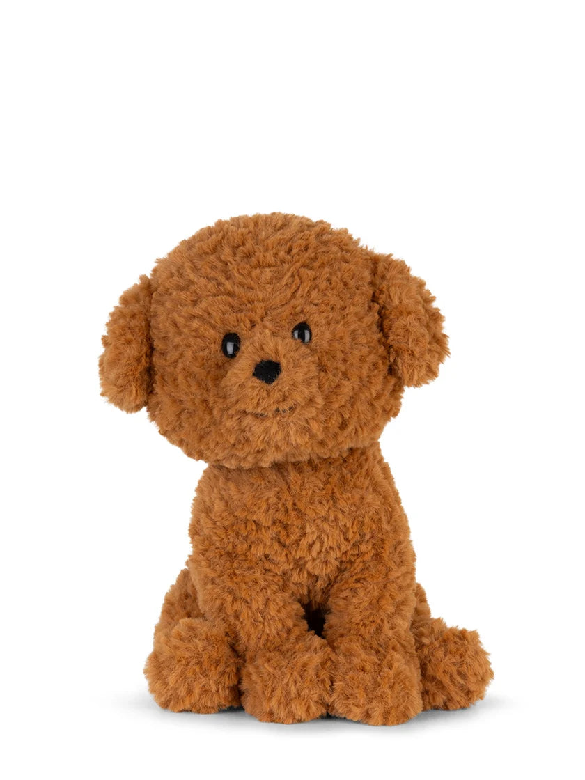 Stacy The Labradoodle
