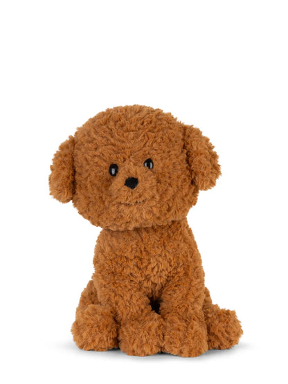 Stacy The Labradoodle