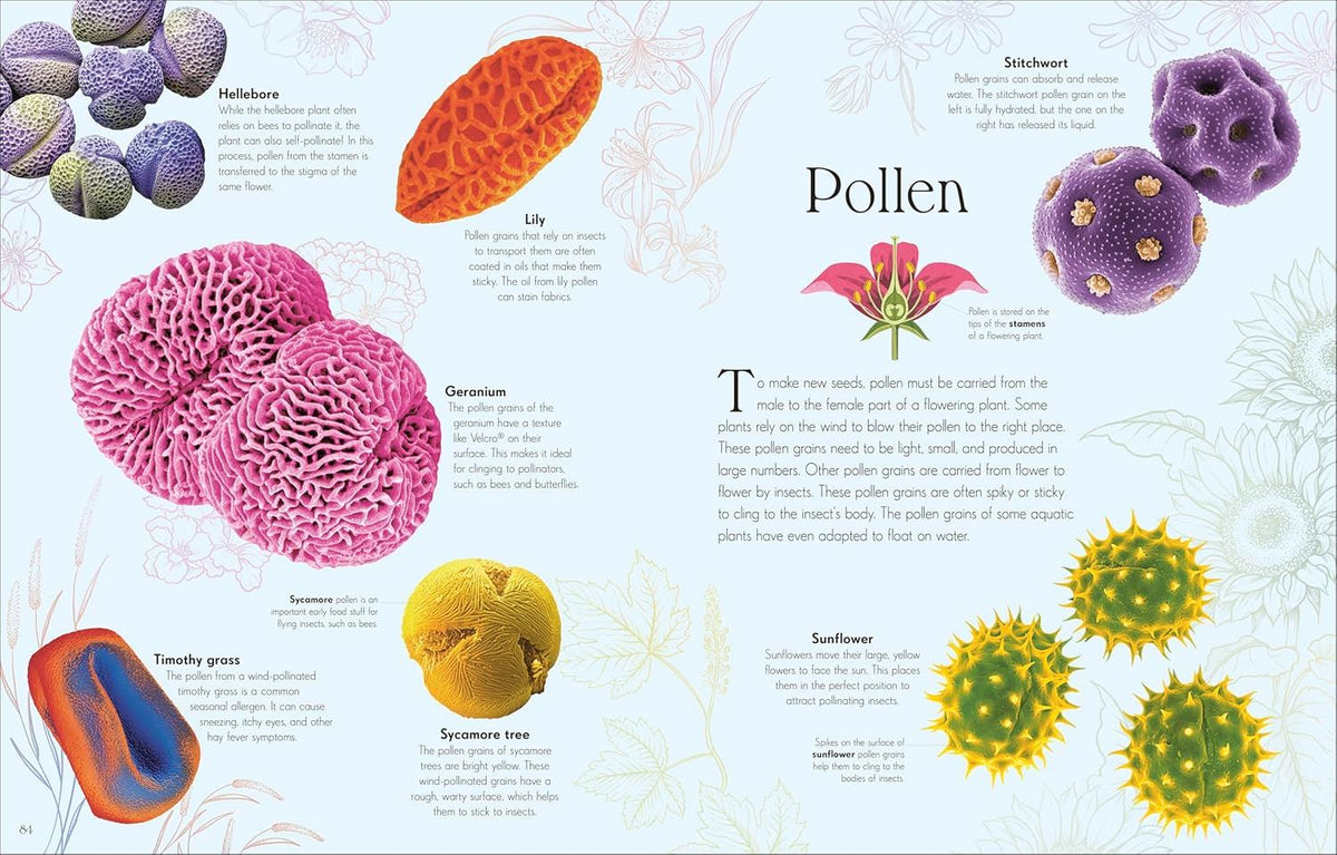 An Anthology Of Microlife