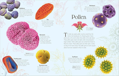 An Anthology Of Microlife