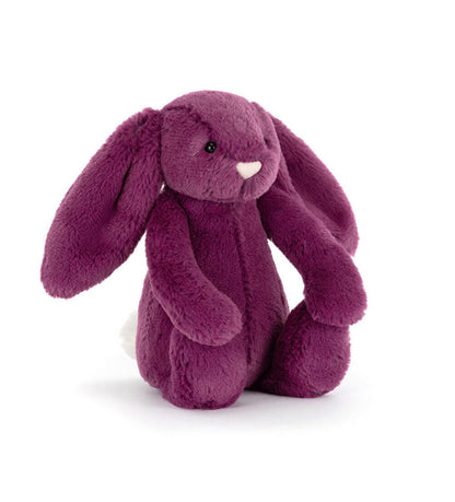 Little Bashful Bunny - Allium