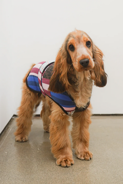 Patchwork Dog Coat - Small