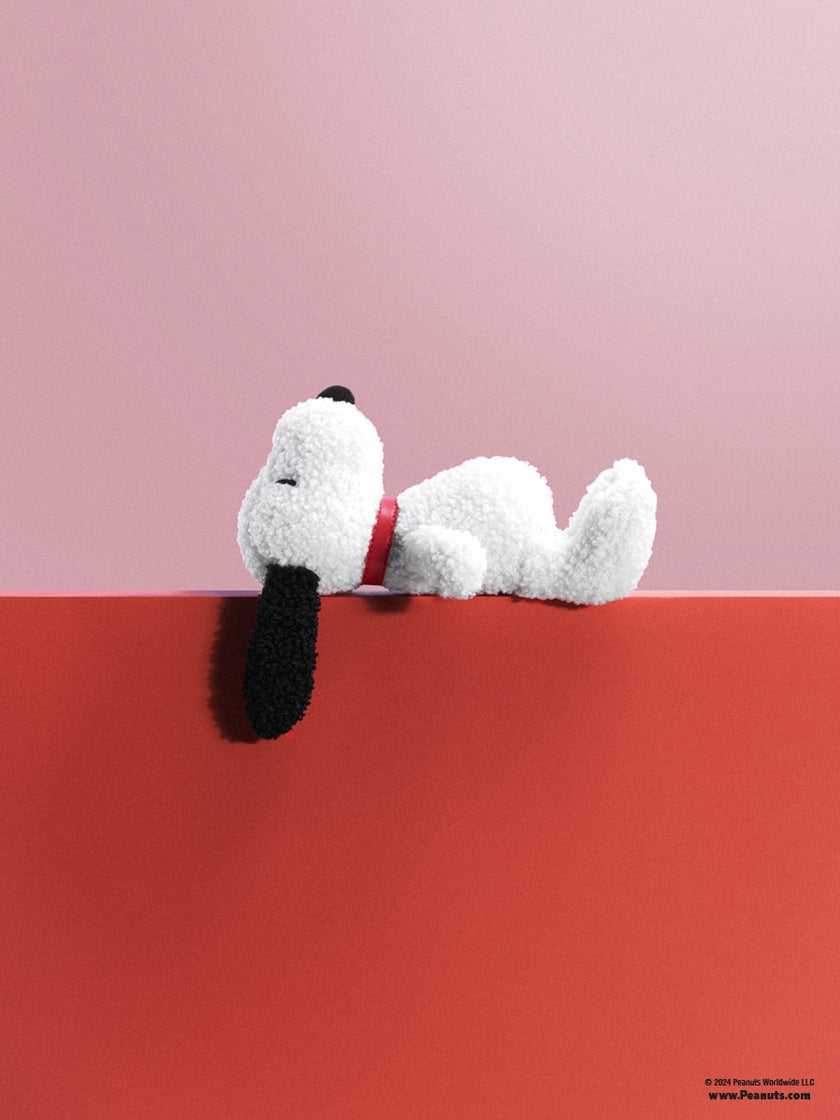 Snoopy Eco Tiny Teddy in Giftbox - 17cm