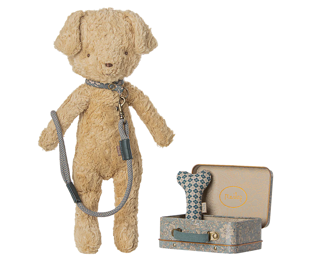 Pet Supplies Accessories Suitcase