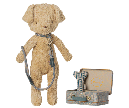 Pet Supplies Accessories Suitcase
