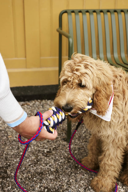 Dog Leash Braided