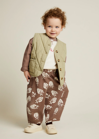 Aster Sage Gilet